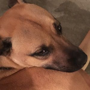 Meet your Posher, Sean